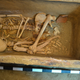 One of two skeletons found in the tomb.